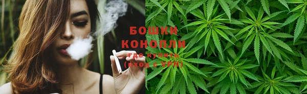 PSILOCYBIN Алексеевка
