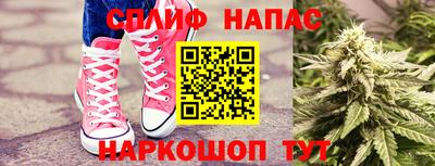 apvp Братск