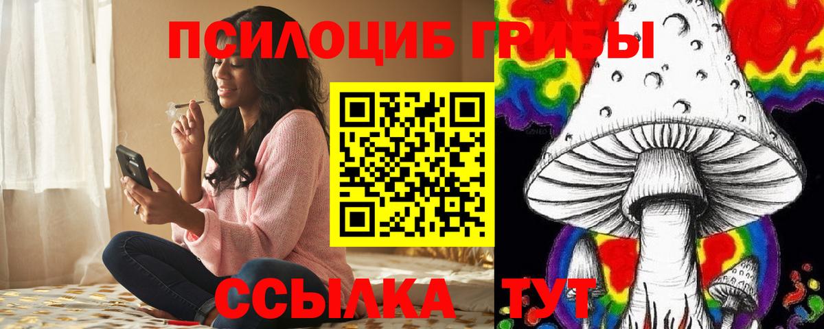 Богородск  Псилоцибиновые грибы мухоморы  Вход с VPN 